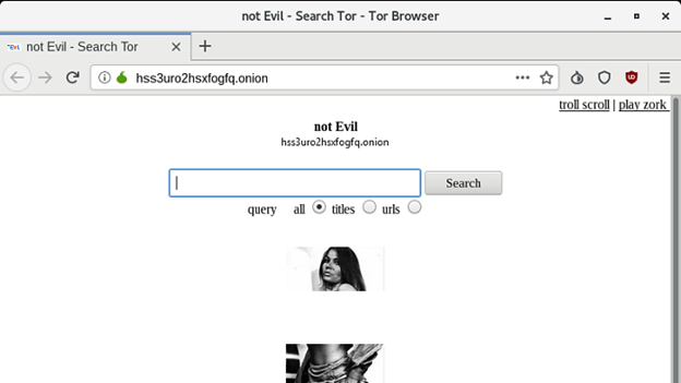 Not Evil Search Engine Tor (Access Guide + Fix Not Working Issues)